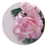 DAROUND 063 Bouquet Of Roses Orchid